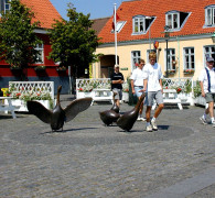 Aakirkeby - Die Stadt im Mittelpunkt der Insel.