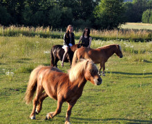 Foto mix Bornholm