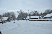 Bornholm sne Billeder - Bornholm Schnee Foto