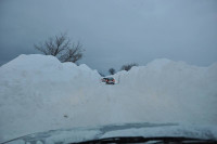 Bornholm sne Billeder - Bornholm Schnee Foto