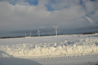 Bornholm sne Billeder - Bornholm Schnee Foto