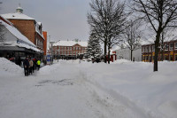 Bornholm sne Billeder - Bornholm Schnee Foto