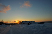 Bornholm sne Billeder - Bornholm Schnee Foto