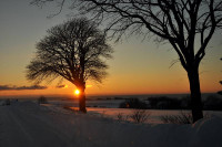 Bornholm sne Billeder - Bornholm Schnee Foto