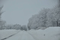 Bornholm sne Billeder - Bornholm Schnee Foto