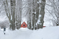 Bornholm sne Billeder - Bornholm Schnee Foto