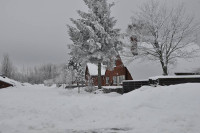 Bornholm sne Billeder - Bornholm Schnee Foto