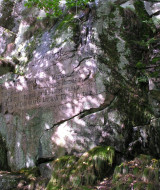 Ekkodalen hat eine durchnitliche Breite von ca. 60 m und eine Gesmtlänge von ca. 12 km