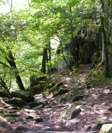 Ekkodalen hat eine durchnitliche Breite von ca. 60 m und eine Gesmtlänge von ca. 12 km