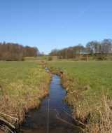 Ekkodalen hat eine durchnitliche Breite von ca. 60 m und eine Gesmtlänge von ca. 12 km