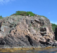 Hammerhafen bootsfahrt - Bornholm - Hammerhafen sejltur