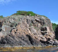 Hammerhafen bootsfahrt - Bornholm - Hammerhafen sejltur