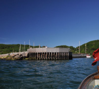 Hammerhafen bootsfahrt - Bornholm - Hammerhafen sejltur