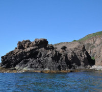 Hammerhafen bootsfahrt - Bornholm - Hammerhafen sejltur