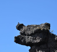 Hammerhafen bootsfahrt - Bornholm - Hammerhafen sejltur