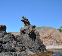 Hammerhafen bootsfahrt - Bornholm - Hammerhafen sejltur