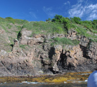 Hammerhafen bootsfahrt - Bornholm - Hammerhafen sejltur