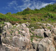 Hammerhafen bootsfahrt - Bornholm - Hammerhafen sejltur