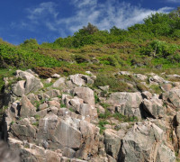 Hammerhafen bootsfahrt - Bornholm - Hammerhafen sejltur