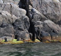 Hammerhafen bootsfahrt - Bornholm - Hammerhafen sejltur