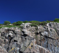 Hammerhafen bootsfahrt - Bornholm - Hammerhafen sejltur