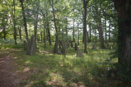 Louisenlund: größte Sammlung von Bautasteinen