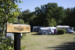 Lyngholt-camping.jpg