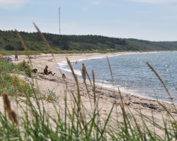 Bornholm Strand