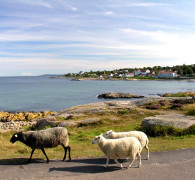 Sandvig  - Bornholm