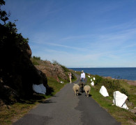 Sandvig - Bornholm