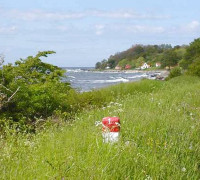 blick-auf-helligpeder-bornholm.jpg