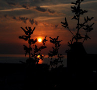 Bornholm Sonnenuntergang