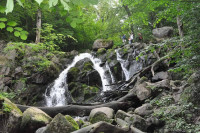 höchster Wasserfall ( Døndalen) Dänemarks