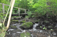 höchster Wasserfall ( Døndalen) Dänemarks