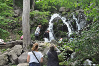 höchster Wasserfall ( Døndalen) Dänemarks