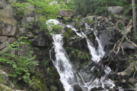 höchster Wasserfall ( Døndalen) Dänemarks