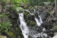 höchster Wasserfall ( Døndalen) Dänemarks