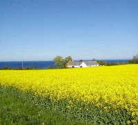 hof-bei-boelhaven-bornholm.jpg