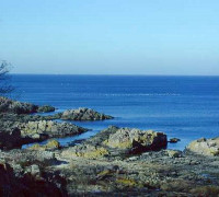 kuest_sti_allinge-bornholm.jpg