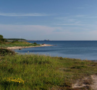 Muleby  - Bornholm