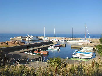 sandvig_hafen_bornholm.jpg