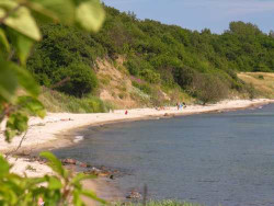 teil-vomsose-strand-bornholm.jpg